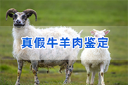 萍乡羊类动物鉴定